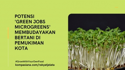 Potensi "Green Jobs Microgreens" Membudayakan Bertani di Pemukiman Kota