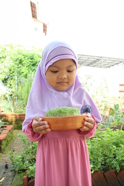 Microgreens, Tanaman Mungil untuk Anak Usia Dini