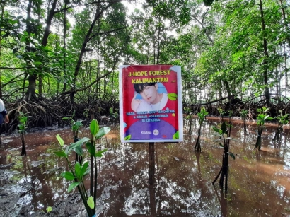 Rayakan Ultah JHope BTS, ARMY Indonesia Tanam 500 Bibit Mangrove di Bontang, Kalimantan