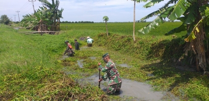 Koramil 06/Wedung Bersama Pemdes dan Masyarakat Bersihkan Tanaman Angkong di Kali Blok Lewan