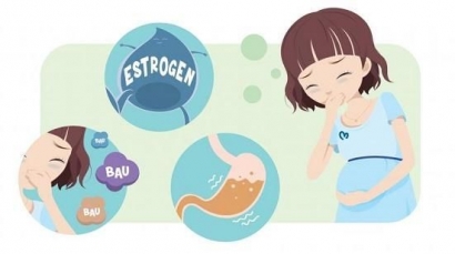 Efektivitas Kurkumin sebagai Pengobatan Hiperemesis Gravidarum pada Kehamilan