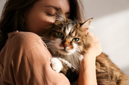 Pengalaman Di-Ghosting Kucing Kesayangan dan Mitos Seputar Kucing