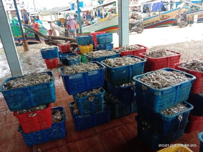TPI Pulo Lampes Bulakamba, Pemasok Ikan untuk Kota di Pulau Jawa