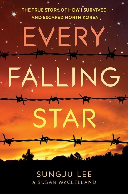 Resensi Buku "Every Falling Star"
