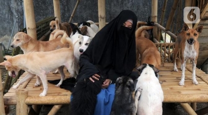 Suara Hati 70 Ekor Anjing di Bogor