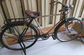 Sepeda Ibu Madu