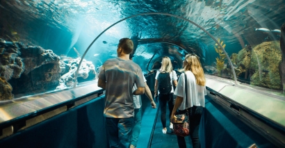 Kelly Tarltons, Memperkenalkan Aquarium Raksasa dengan Tunnel Berjalan dari Tangki Bekas