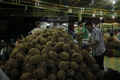 Pulang dari Jepang, Kini Jualan Durian