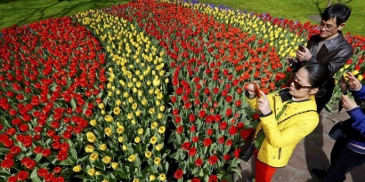 Suka Bunga Amarilis, Sudah Tahu Legendanya?