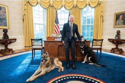Major, Si Biang Masalah Baru di Gedung Putih dan Perannya dalam Kemenangan Joe Biden