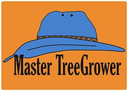 "Master Tree Grower" Pelatihan bagi Petani Kayu