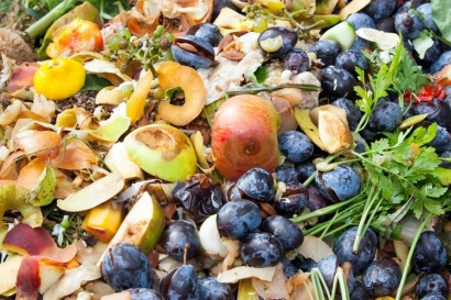 Dampak Food Waste terhadap Lingkungan