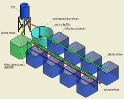 Mengenal Sistem Resirkulasi pada Akuakultur