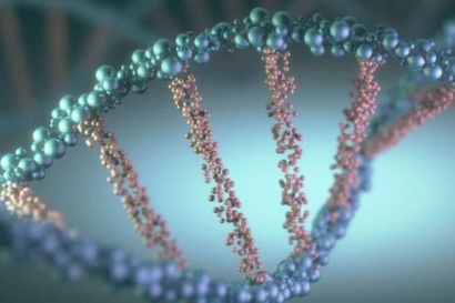 Benarkah Genetik Memengaruhi Kecerdasan?