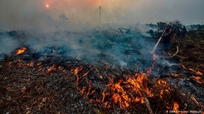 Kebakaran Hutan di Indonesia