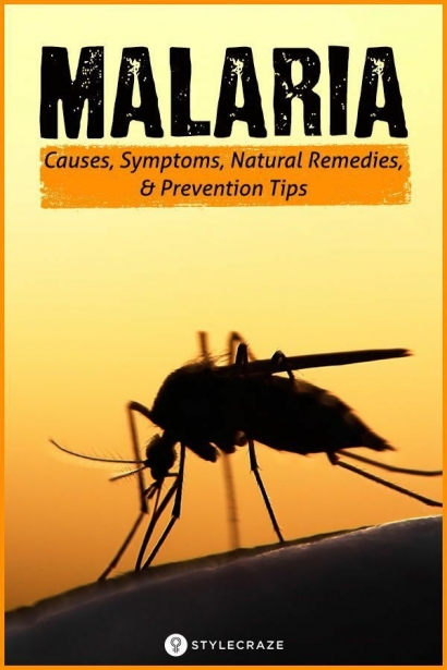 Hidup Bersih Cara Ampuh Mencegah Wabah Malaria
