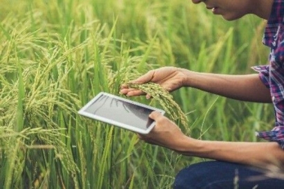 Respon Subsitusi Teknologi Pertanian Era 4.0 bagi Petani Konvesional. "Apakah Bisa?"