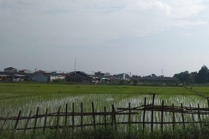Permasalahan Lahan Pertanian di Kabupaten Bekasi