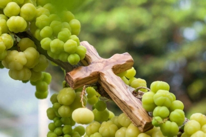 Minggu Paskah V: Pokok Anggur dan Ranting Berkualitas