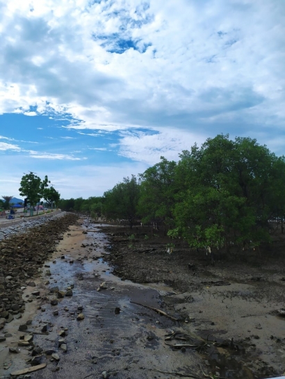 Sisa Sisa Mangrove Dikawasan Coastal Area, Tanjung Balai Karimun