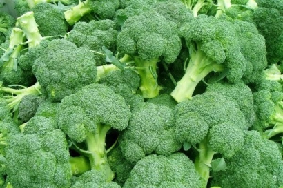 Brokoli, Si Hijau yang Gagah, yang Turut Menjaga Kadar Glukosa Darah