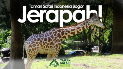 Bocil yang Sudah Bisa Diajak Nge-Vlog di Taman Safari Indonesia