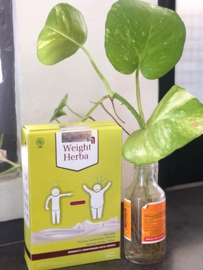 Kumpulan Artikel Terbaru kurus - Kompasiana.com