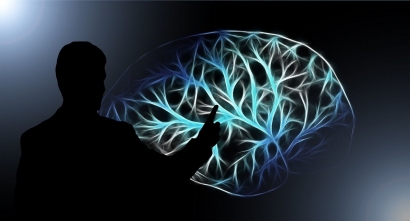 Mengenal Sistem Limbik dan Plastisitas Otak Manusia