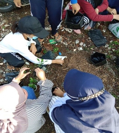 Pemberdayaan Masyarakat dengan Penanaman Toga sebagai Obat Keluarga oleh Mahasiswa KKN UM di Desa Sukosari Kecamatan Gondanglegi
