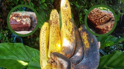 Pisang Bonyok, Rahasia Pembuatan Banana Bread yang Legit