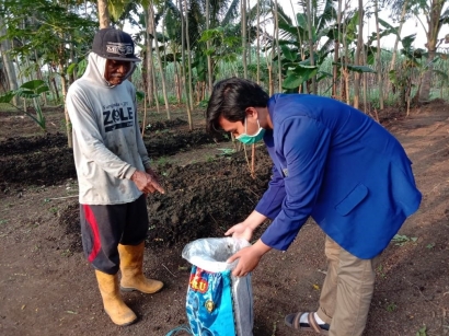 Tim KKN UM Bantu Pengolahan Kotoran Sapi dan Kambing sebagai Pupuk Organik di Desa Kasembon