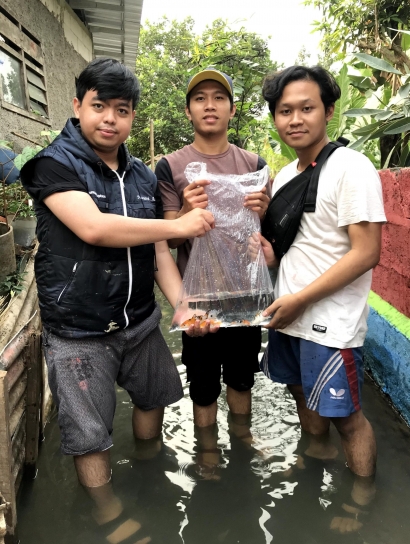 Dorong Kepedulian Lingkungan, Mahasiswa UMM Sulap Selokan Kampung Blok Ringkem, Cibinong Jadi Kolam Budidaya Ikan