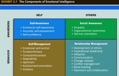 Memahami Lebih Jauh tentang Emotional Intelligence