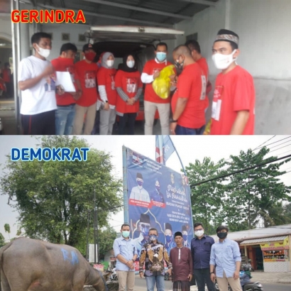 DPC Demokrat 1 Ekor Kerbau dan Gerindra Pandeglang Bagikan Hewan Kurban 6 Ekor Sapi