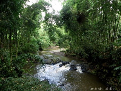 Menyusuri dan Melihat Keindahan Sungai-sungai di Wilayah Timur Malang
