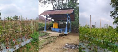 Kenalkan Kekayaan Dusun Manggisari Desa Bocek, Tim KKN UM 2021 Ciptakan Video Potensi Dusun