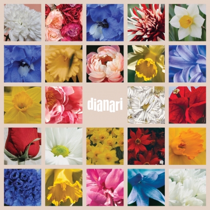 Dianari Debut dengan Mini Album "Tentang Hari"