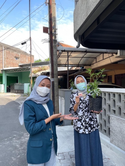 Budidaya Microgreens: Solusi Kebutuhan Pangan Kaya Gizi di Tengah Pandemi