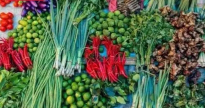 Daftar 6 Teratas Komoditas Sayuran Indonesia, Dilengkapi Daerah Penghasil dan Nilai Ekspor