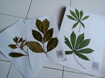 Tingkatkan Literasi Sains dengan Herbarium Berbasis QR Code
