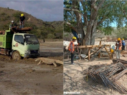 Ancaman Serius UNESCO kepada Pemerintah RI soal Proyek "Gila" di Taman Nasional Komodo