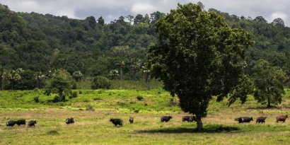 Konservasi Alam, Memupuk Kecintaan pada Alam dan Budaya Nusantara