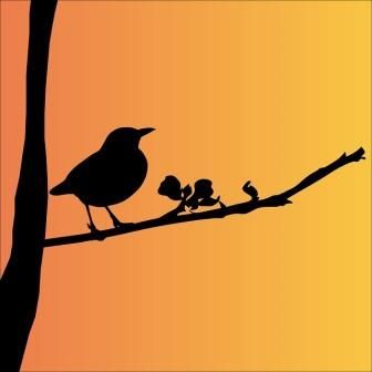 Pohon dan Burung Kecil