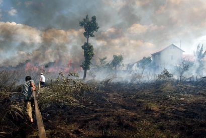 Kemarau yang Berujung pada Kebakaran Lahan Hutan di Daerah Indonesia