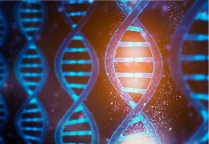 Bagaimana Genom Manusia Membantu Memerangi Covid-19