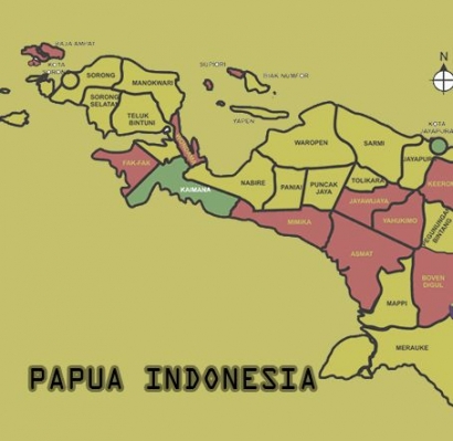 Stigma Akar Kekerasan Papua yang Menyesatkan