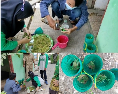 Memanfaatkan Botol Bekas, Tim KSM-Tematik Unisma Membuat Hidroponik Sederhana dersama PAC IPNU Kecamatan Jangkar