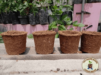 Pemanfaatan Limbah Jerami Menjadi Pot Organik Sebagai Upaya Pelestarian Lingkungan Desa Kalikudi