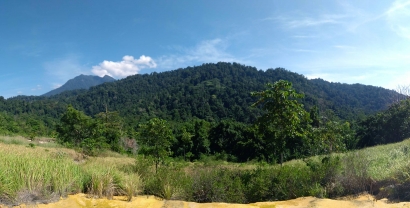 Menyusuri Sungai Bone di Gorontalo dan Hancurnya Rakit Bambu Kami