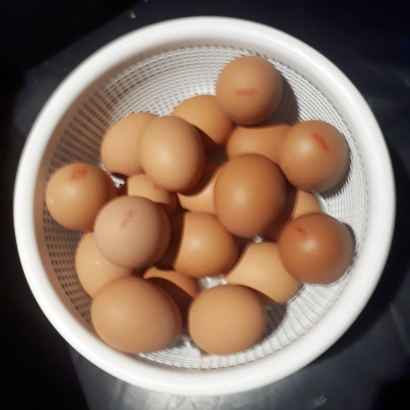 Memaknai  Kalimat: "Don't Put All Your Eggs In One Basket"
